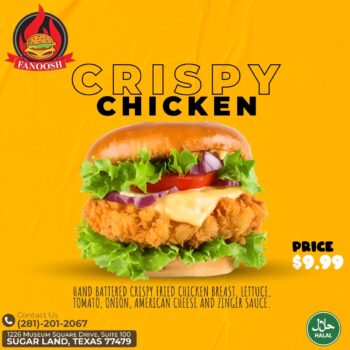 Crispy Chicken