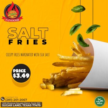Salt Fries
