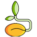 Seed Supply